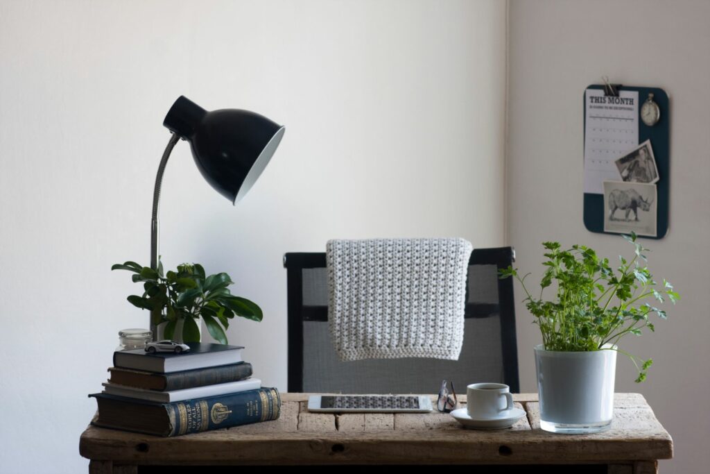 image of a biophilic home office space with plants on the desk
